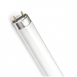 Bombillo tubo T8 Fluorescente 36W