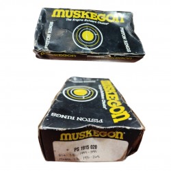 Anillos De KIA 1.8/MAZDA 1.8 0.20